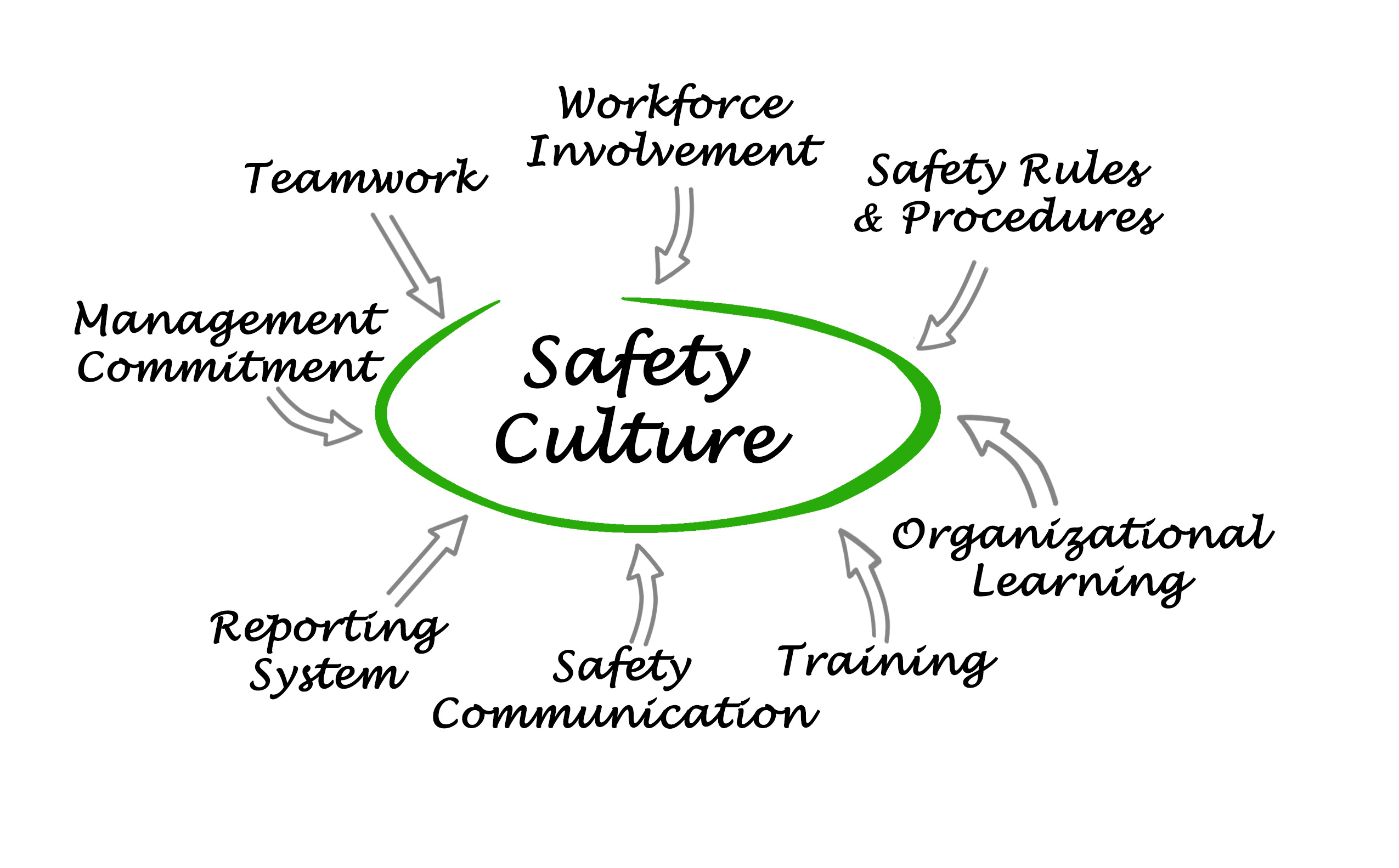 Have a Safety Culture or Thrive in a Great Culture?